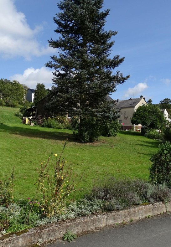 Garten Bild 1 | &copy; Hamm