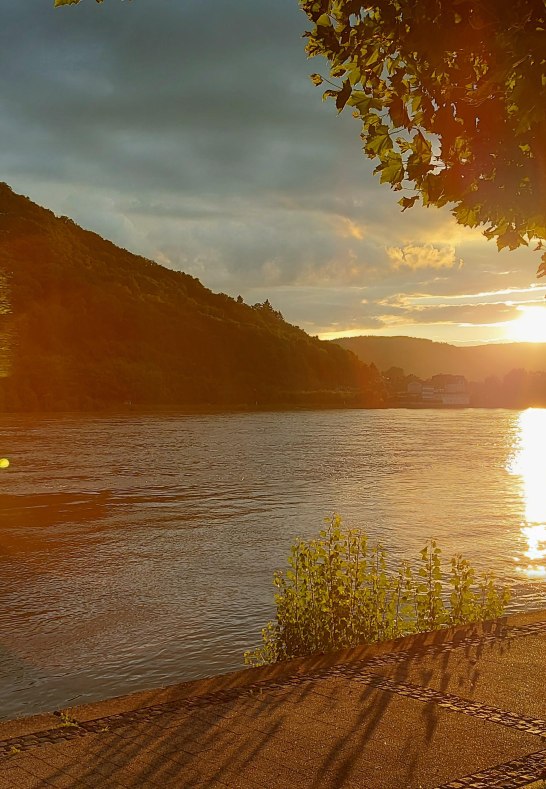 Riverside next to House Rheingl&uuml;ck | &copy; Heimes