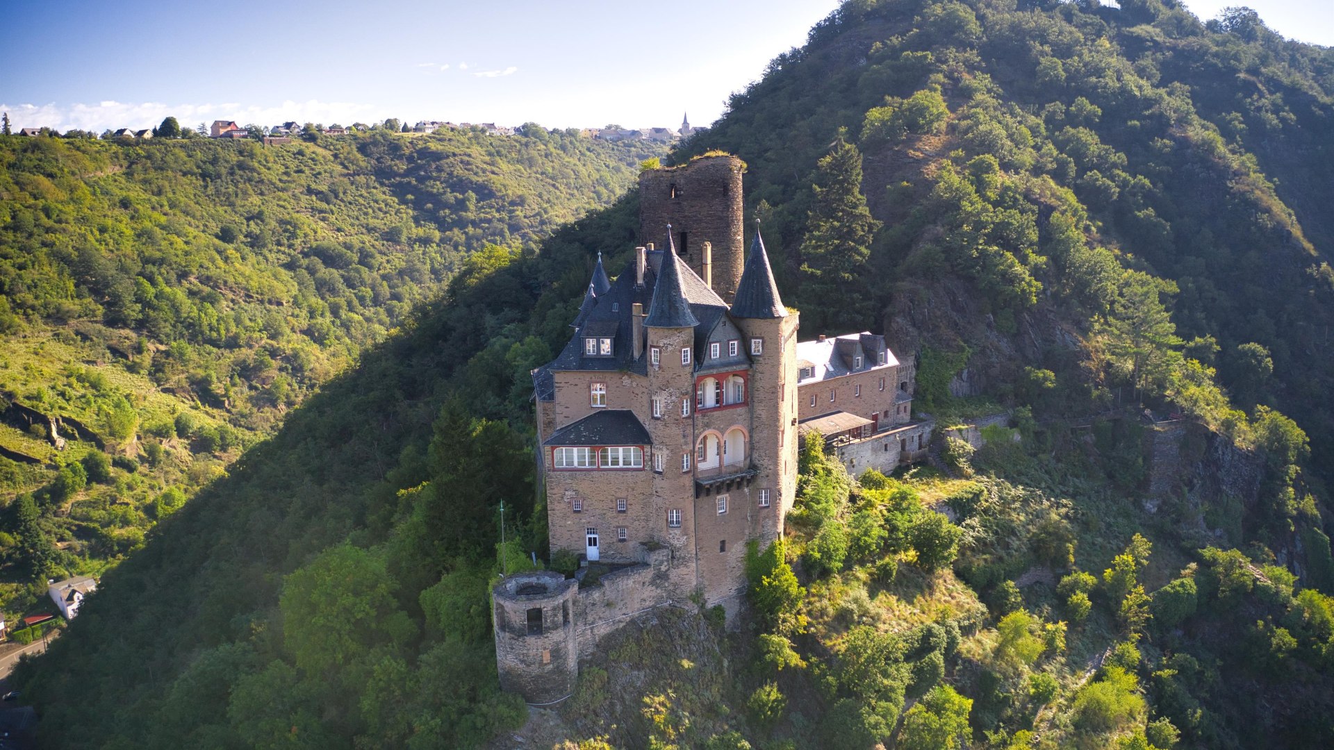 Katz | &copy; Sebastian Reifferscheid