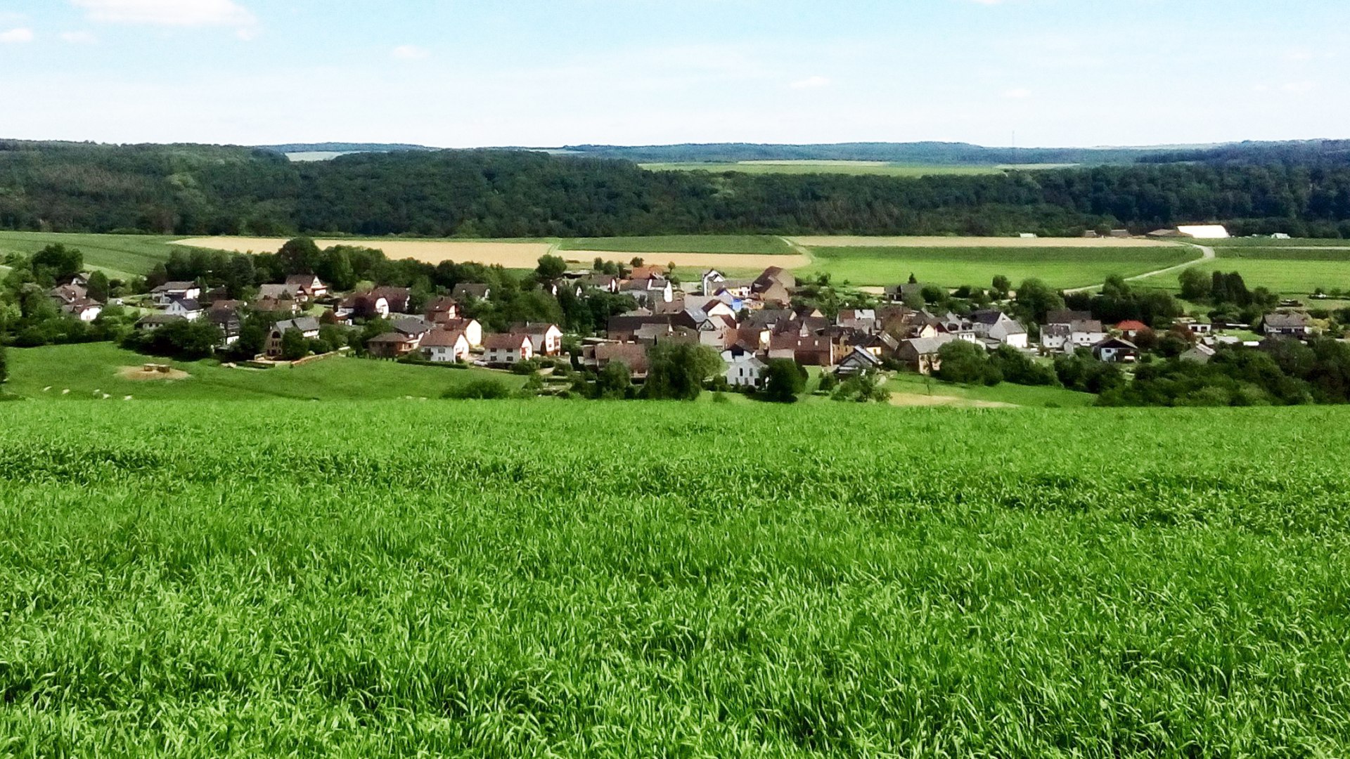 Auel Blick vom Horstberg | &copy; B.Z.