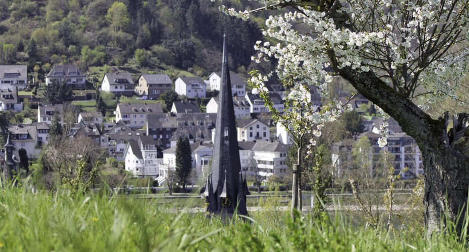 Fr&uuml;hling | &copy; Sebastian Reifferscheid