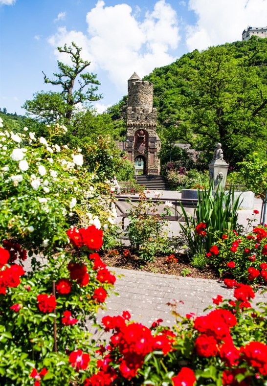 Rosen | &copy; Henry Tornow/Romantischer Rhein Tourismus GmbH