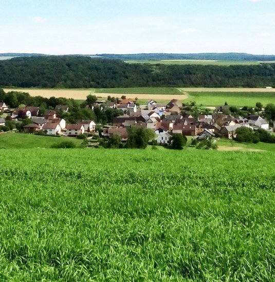 Auel Blick vom Horstberg | &copy; B.Z.