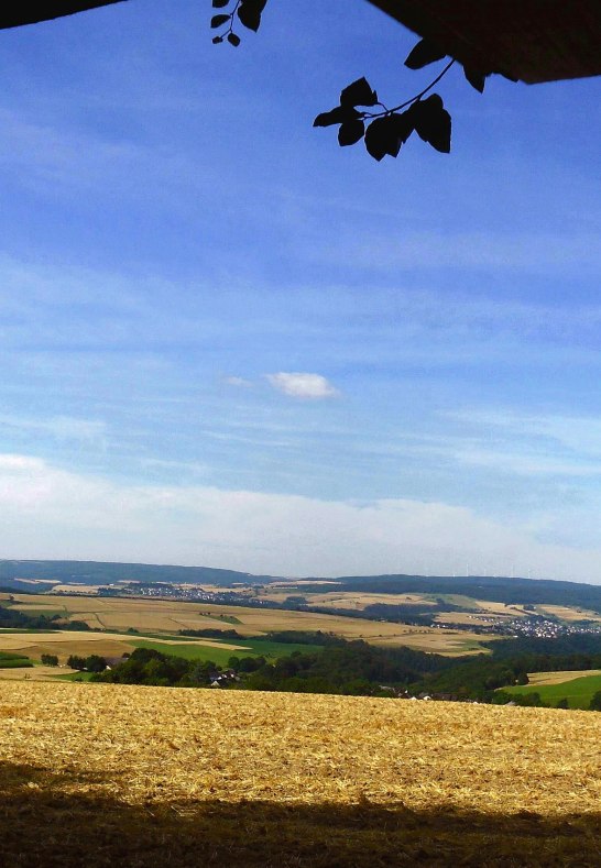 Blick in den Hunsrück vom Ruheplatz Im Rosland Nähe Jagdhütte | © V.O.