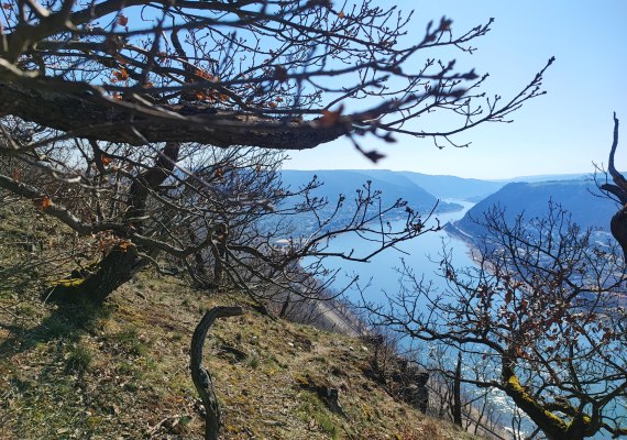 Ausblick von der Schutzh&uuml;tte | &copy; Ulrike Dallmann
