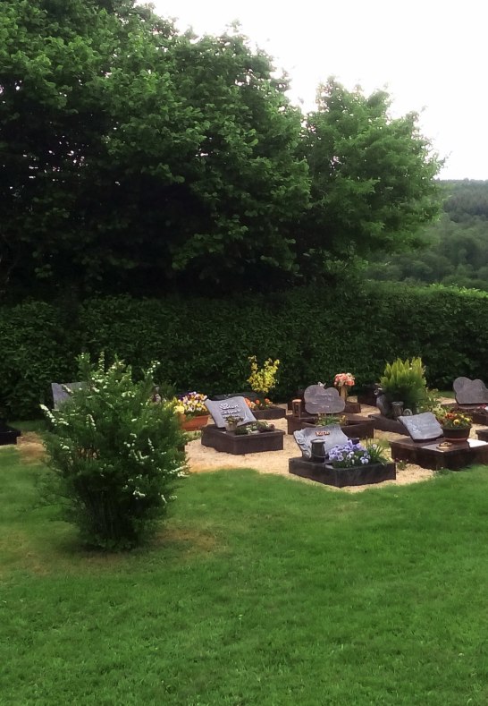 Urnengrabfeld | © V.O. Urnengrabfeld | © V.O.