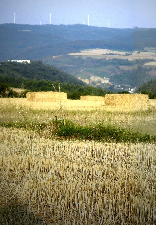 Ruhebank auf dem Heidebusch mit Blick auf Festung Rheinfels | © V.O.