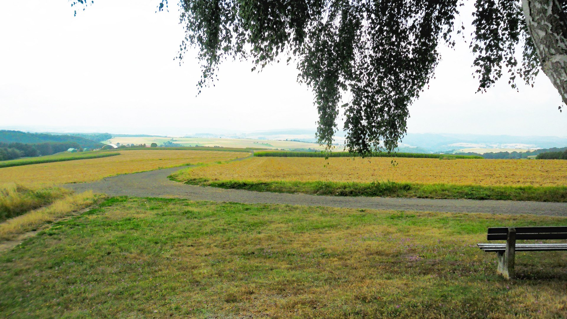 Blick vom Friedhof in den Hunsrück | © V.O.