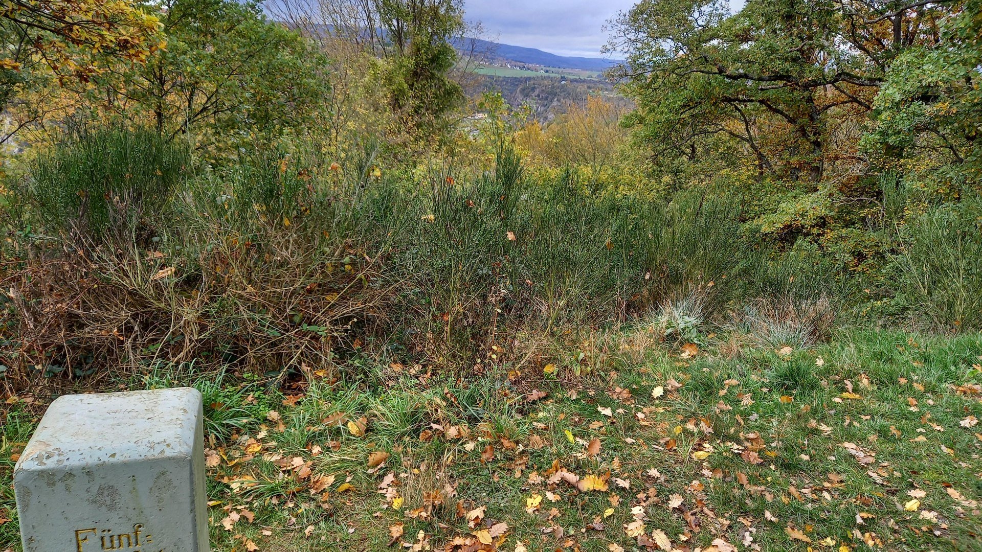 Fünf-Seen-Platz | © Loreley Touristik GmbH Fünf-Seen-Platz | © Loreley Touristik GmbH