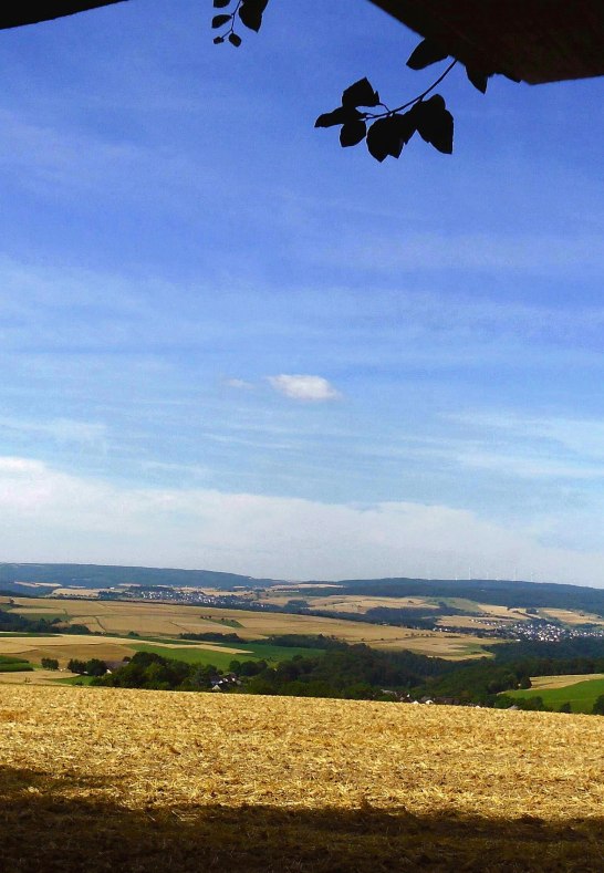 Blick in den Hunsrück vom Ruheplatz Im Rosland Nähe Jagdhütte | © V.O. Blick in den Hunsrück vom Ruheplatz Im Rosland Nähe Jagdhütte | © V.O.