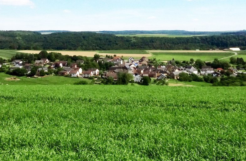 Auel Blick vom Horstberg | &copy; B.Z.