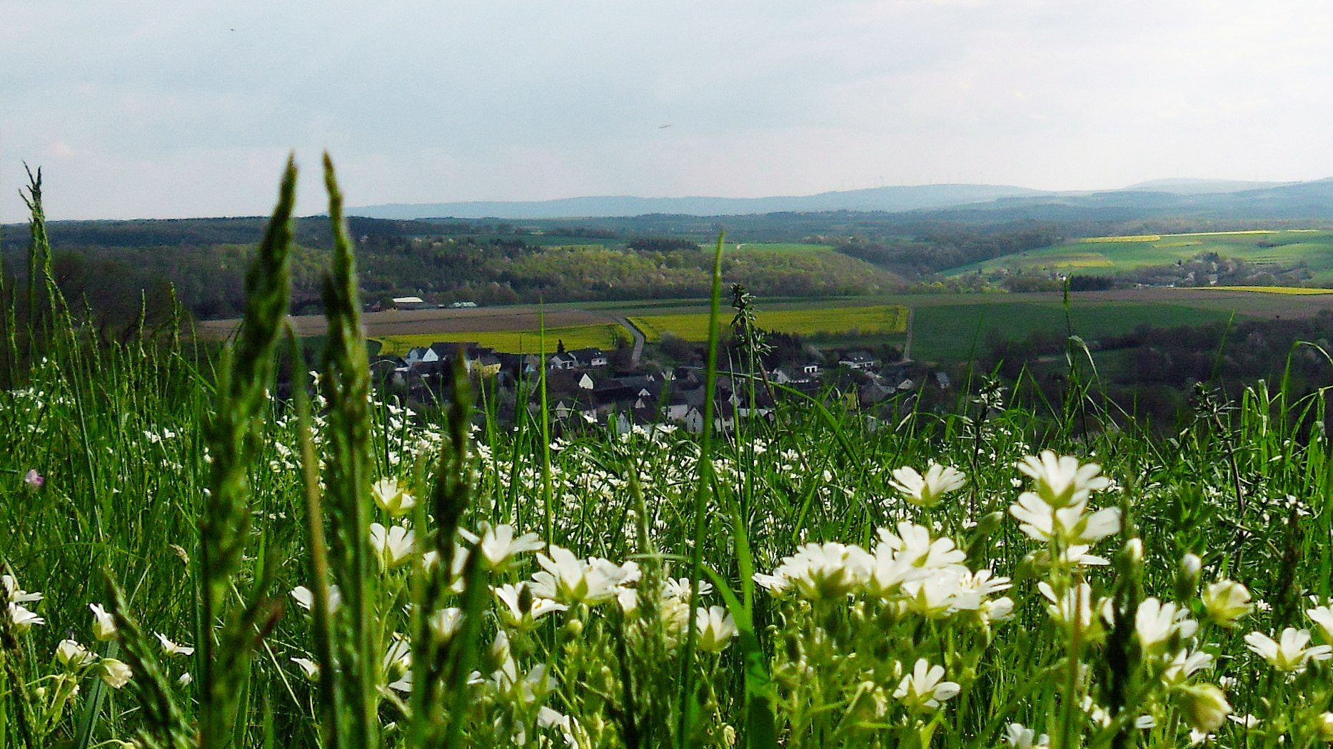 Auel 4 | &copy; V.O.