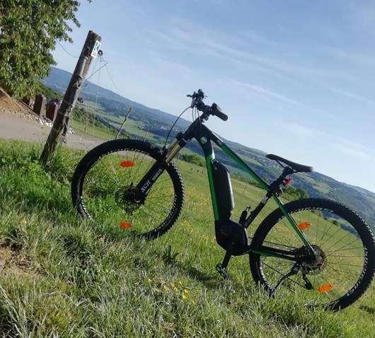 Rad | © Marcus Fetz Rad | © Marcus Fetz