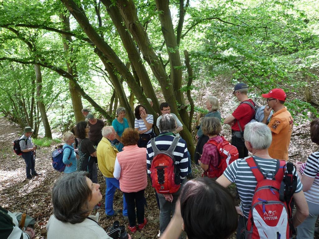 NaturErbe | &copy; Werner Sopp