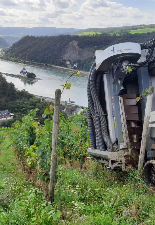 Lese | © Bahles Lese | © Bahles