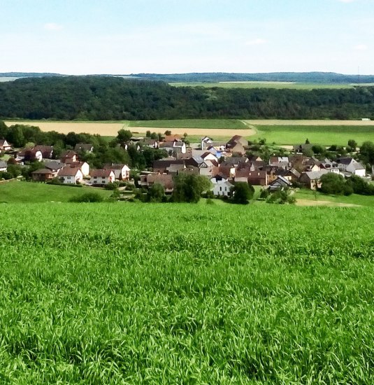 Auel Blick vom Horstberg | &copy; B.Z.