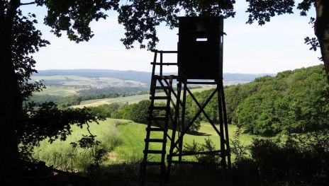 F&ouml;rster Frohwein | &copy; B.Z.
