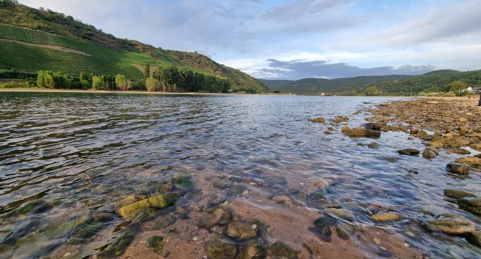 Rhein bei Osterspai | © Ulrike Dallmann Rhein bei Osterspai | © Ulrike Dallmann