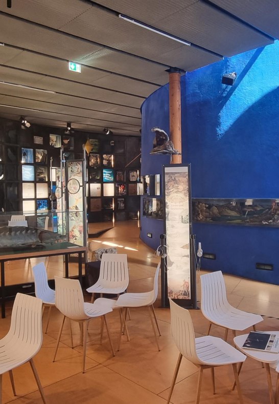 Innen | &copy; Ulrike Dallmann