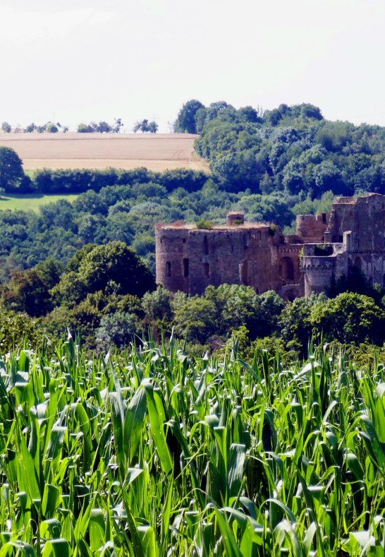 In den Platten Blick auf Burg Reichenberg | &copy; B.Z.