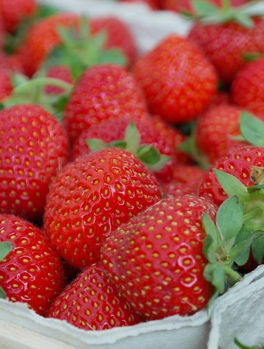 Erdbeeren | © Pixabay Erdbeeren | © Pixabay