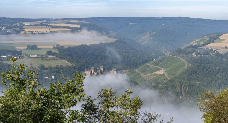 Ausblick Dörscheid | © Katja S. Verhoeven