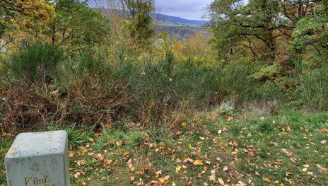 Fünf-Seen-Platz | © Loreley Touristik GmbH