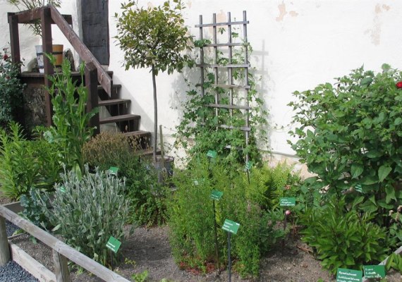 Kräutergarten | © Deutsche Burgenvereinigung Kräutergarten | © Deutsche Burgenvereinigung