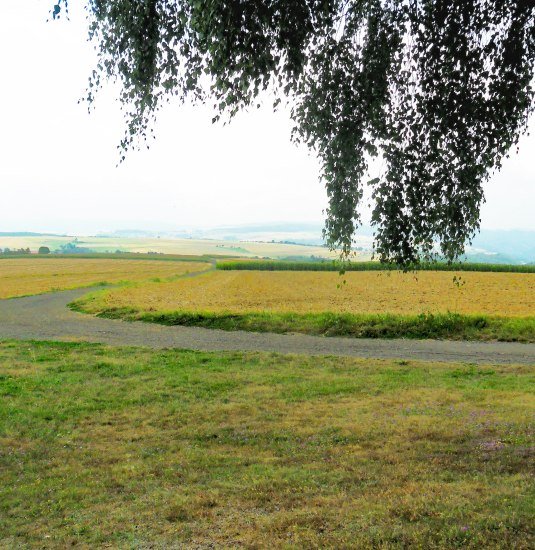 Blick vom Friedhof in den Hunsrück | © V.O.