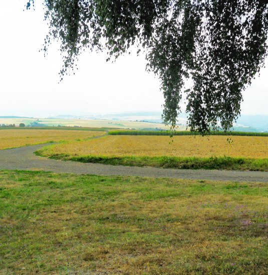 Blick vom Friedhof in den Hunsr&uuml;ck | &copy; V.O.